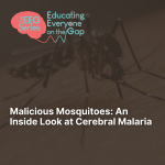 Click this image to view "Malicious Mosquitoes: An Inside Look at Cerebral Malaria"