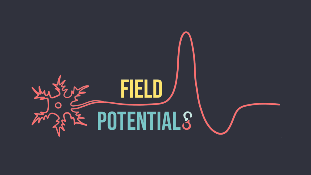 Click this image to view an example of Field Potentials.